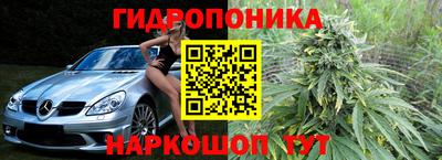 соль ск Дубна