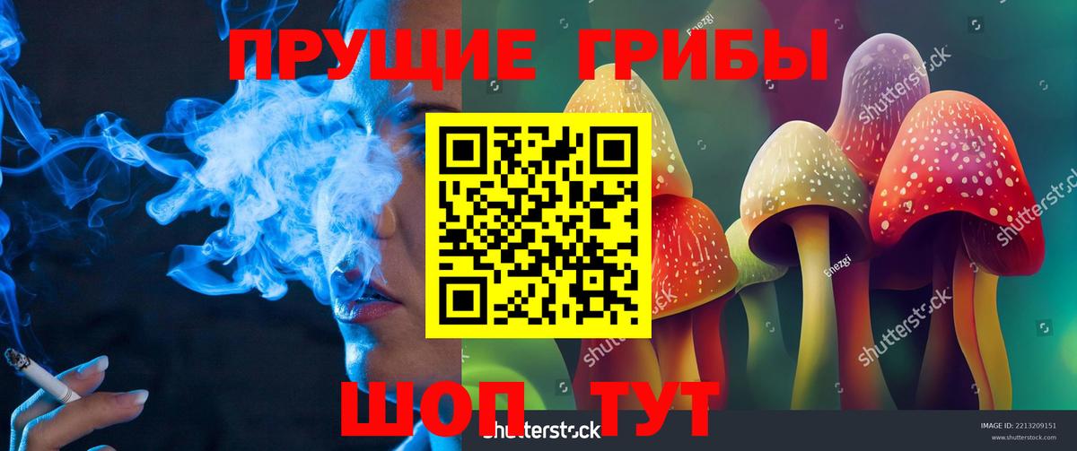 цены наркотик  Галлюциногенные грибы GOLDEN TEACHER  Вход с VPN  Псилоцибиновые грибы прущие грибы  Электросталь 